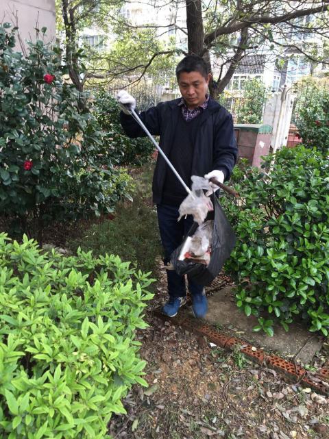 节造鼠害、预防疾病，构建和谐文化社区